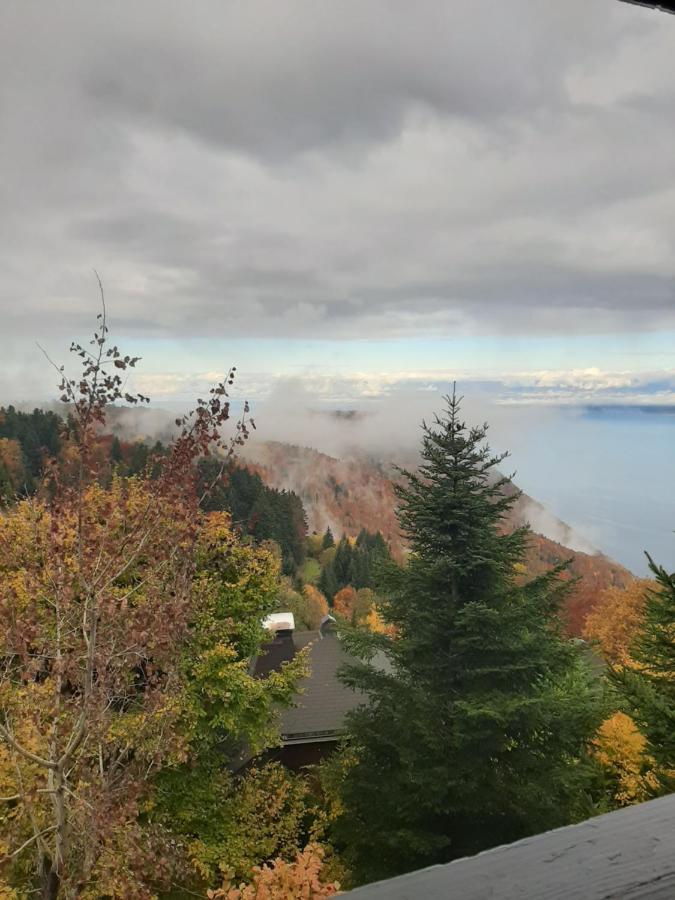 Vue Leman A 1000 Metres D Altitude *
