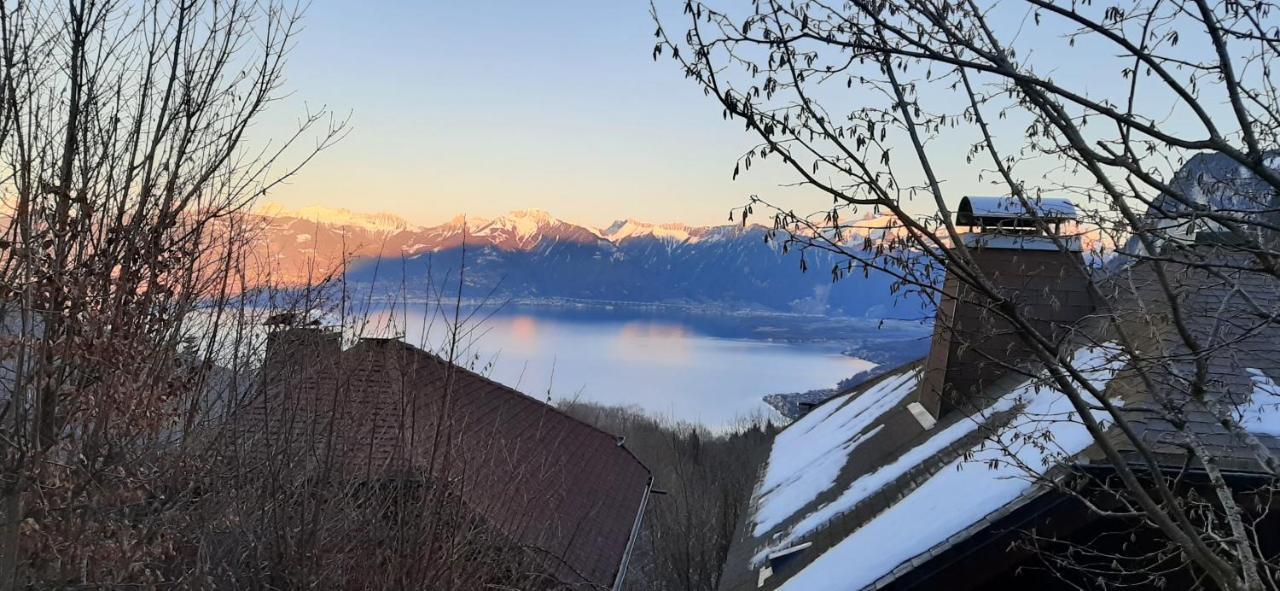 Vue Leman A 1000 Metres D Altitude