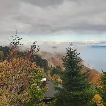 Chalet Vue Lac Leman A 1000 Metres D Altitude Meillerie Exterior photo