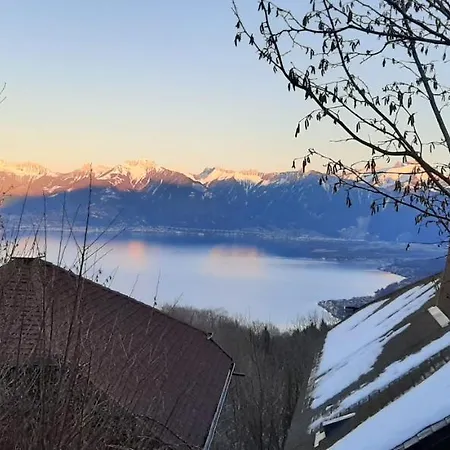 Chalet Vue Lac Leman A 1000 Metres D Altitude Meillerie Exterior photo