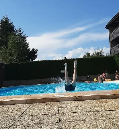 Chalet Vue Lac Leman A 1000 Metres D Altitude Meillerie Exterior photo