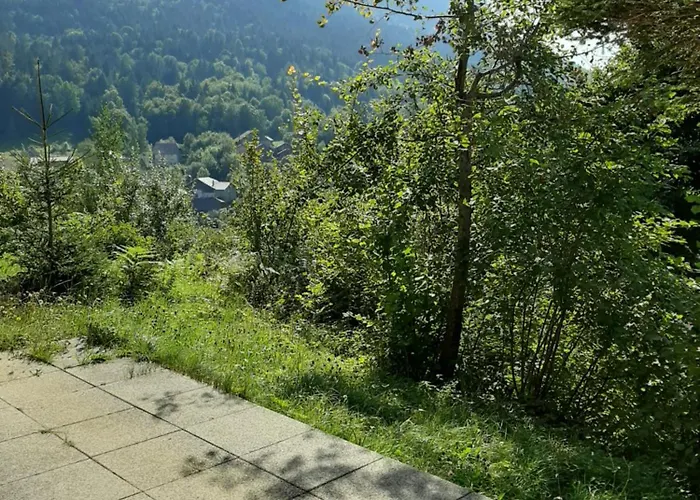 Chalet Vue Lac Leman A 1000 Metres D Altitude