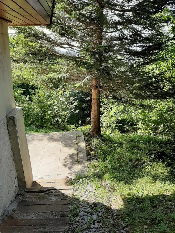 Chalet Vue Leman A 1000 Metres D Altitude